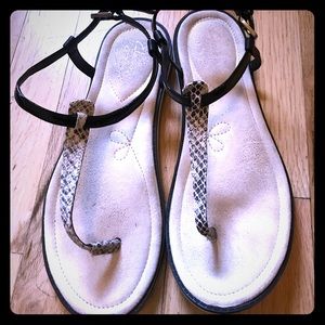 clarks shoes seattle